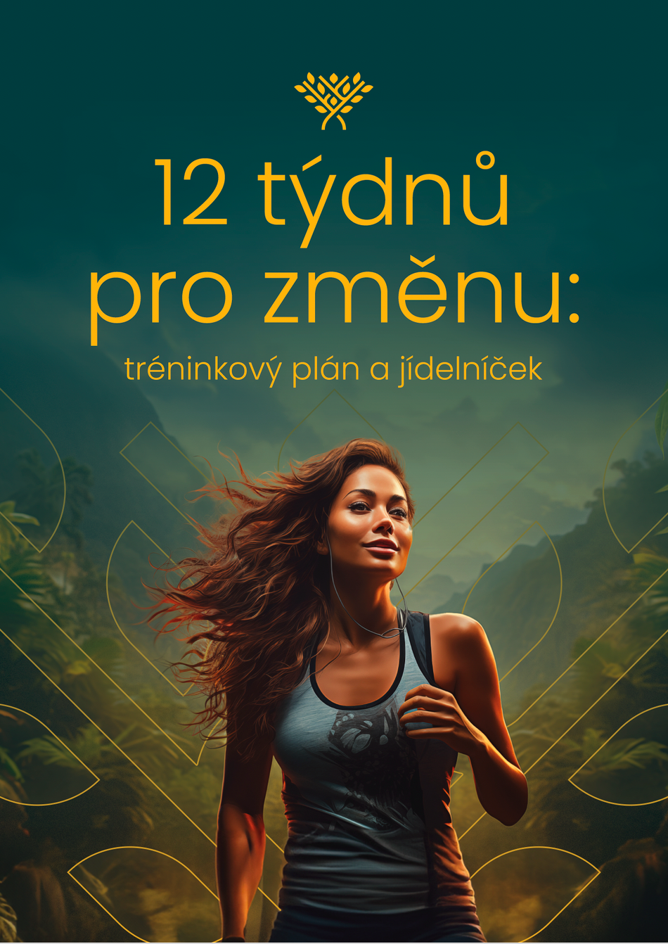 Starter Pack na Energii