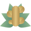 Zázvor